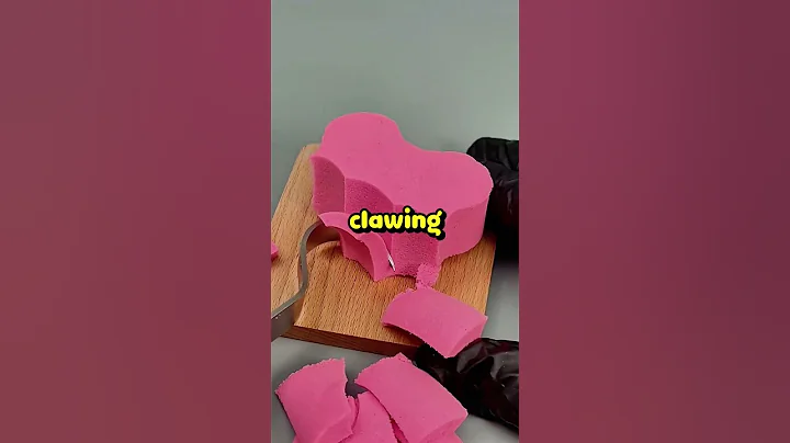 Video 10416271: pet bath, cat