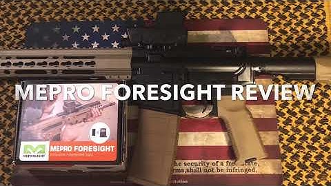 MEPRO FORESIGHT REVIEW
