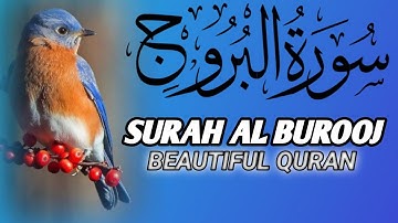 سورة البروج/القاري بلال دربالي/أكتب شي توجر عليه/