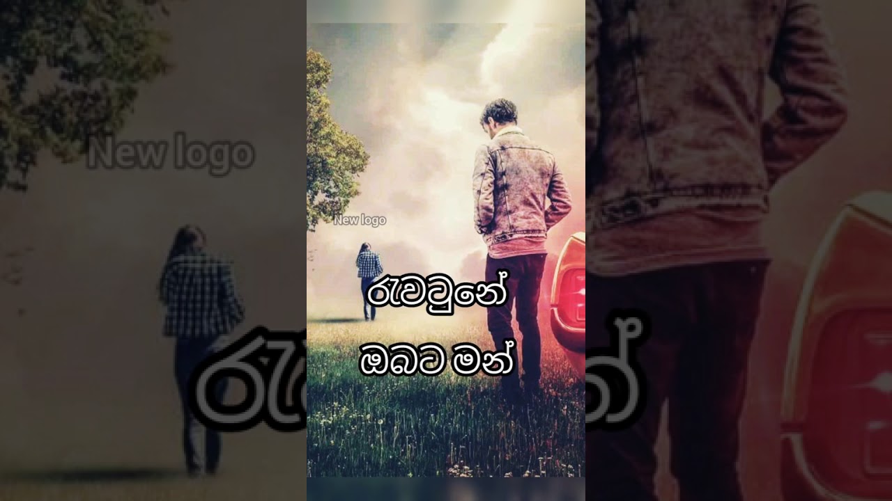 Featured image of post Whatsapp Status Video Sinhala Love Song : Tamil vertical full screen whatsapp status then kudikka teejay.