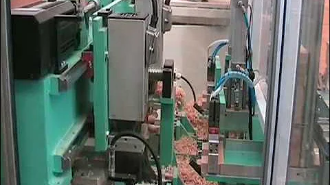 COPYING MILLING MACHINE type "FBI/cnc" WITH 2 HEADS for walking sticks