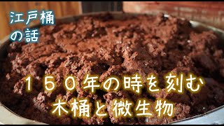 【江戸桶】１５０年使う木桶と微生物の話し