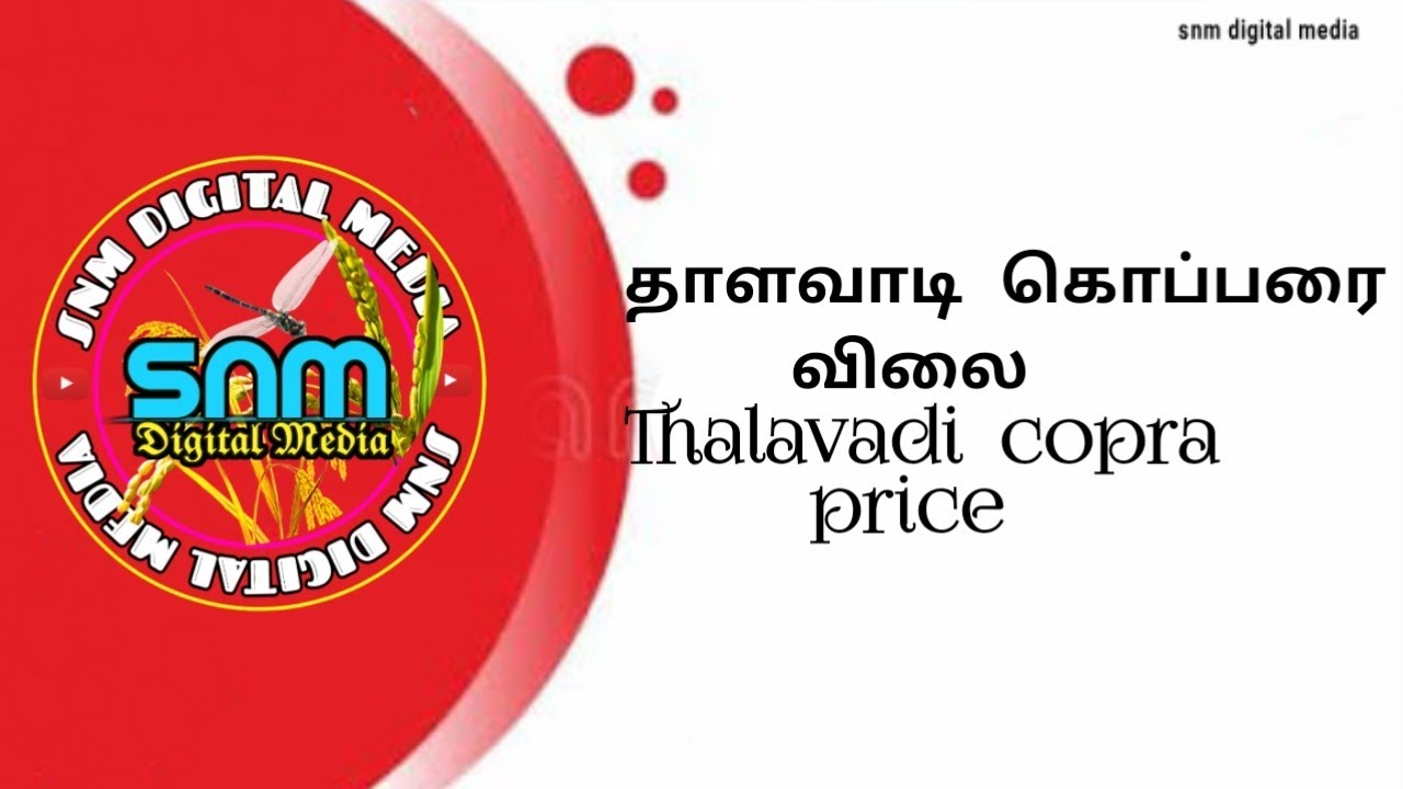 today-thalavadi-coconut-price-youtube