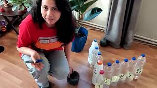 Math Assignment - Bowling addition and subtraction game
