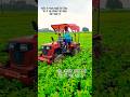 Mahindra 215 soybean Dore nikalna 🤔🤗#dhore #soybean_dhore#farming #agriculture #mini_tractor#