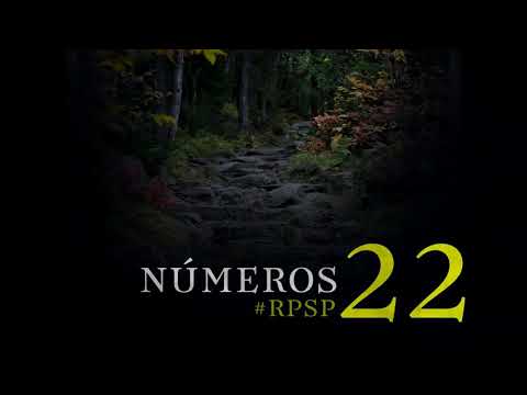 Números 22 Resumen