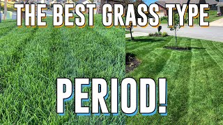 Why TALL FESCUE is the BEST Grass... PERIOD! Seeding New Lawn screenshot 2