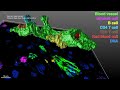 Harvard Medical School Scientists Develop New Technique To Create 3D Images Of Human Tissue Samples