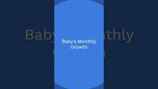 Pregnancy | Monthly Growth of Baby | Pregnancy Tracker pregnancy