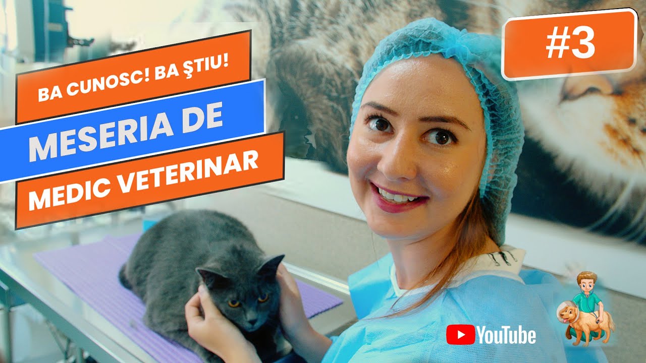 Meseria de Medic Veterinar si alte meserii intalnite intrun Spital