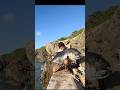 27.7キロGT#fishing #shorts #釣り