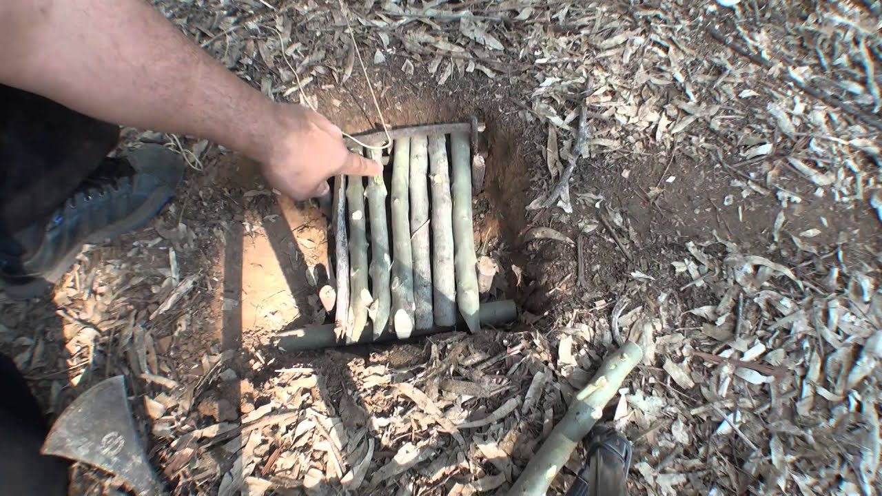 Trampa con resorte especial para aves