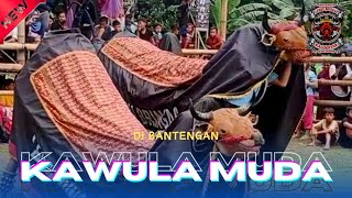 DJ BANTENGAN • KAWULA MUDA ( LEMBU BRINGAS ) REMIXER BY PATHENG PROJECT