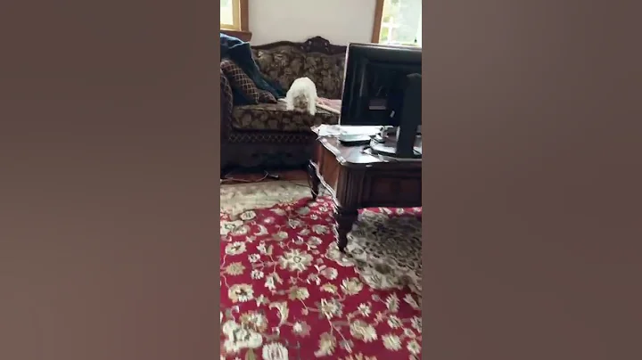 Ran into my room