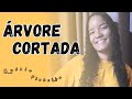 ÁRVORE CORTADA #gospel #jesus