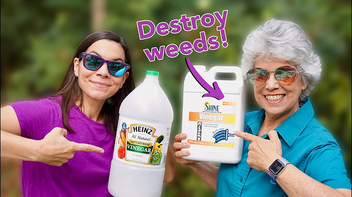 We Tried 30% Natural Vinegar to Kill Weeds / Part 1