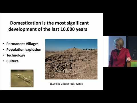 Video: The Domestication Of Nature And Modernism