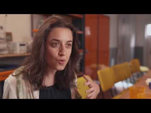 Web Colaborativa - Projeto dá acesso à tecnologia
