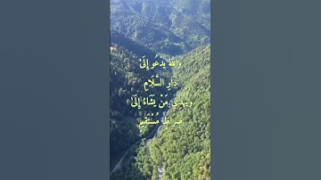 الآيات 24-25 من سورة يونس بصوت الشيخ عبد الباسط عبد الصمد رحمه الله