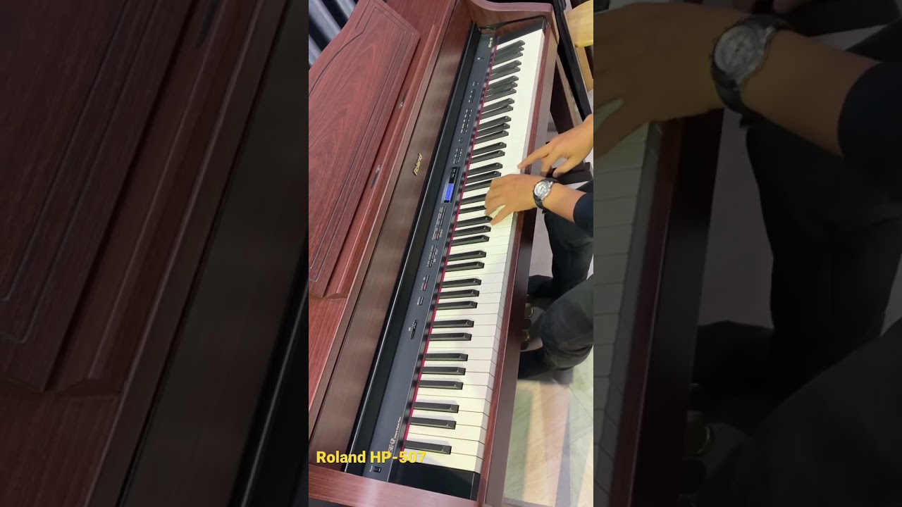 Roland HP-507
