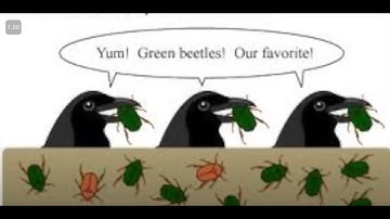 Coalescent Theory: Explained