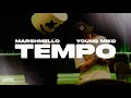 Marshmello &amp; Young Miko - TEMPO