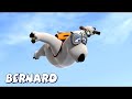 Bernard Bear | Skydiving AND MORE | Cartoons for Children | Full Episodes