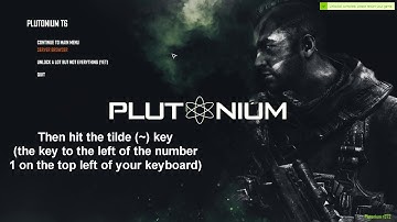 How to Install Plutonium and Set Up Everything for Muliplayer