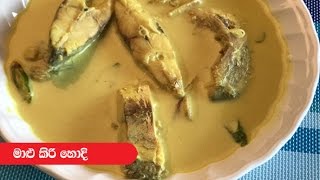 Fish Kiri Hodi - Episode 173