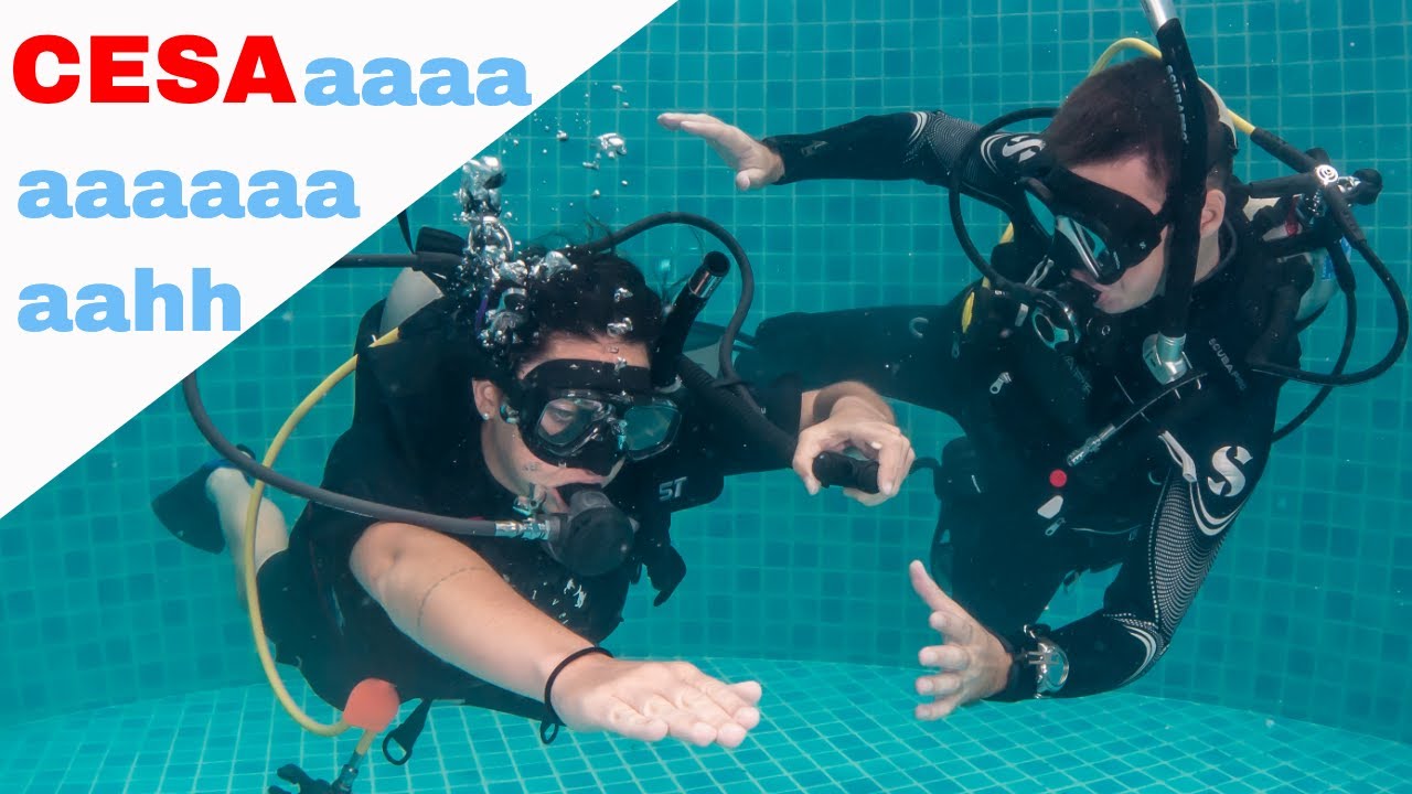 PADI CESA Confined Water 🤘PADI Open Water Diver Course • Scuba Diving