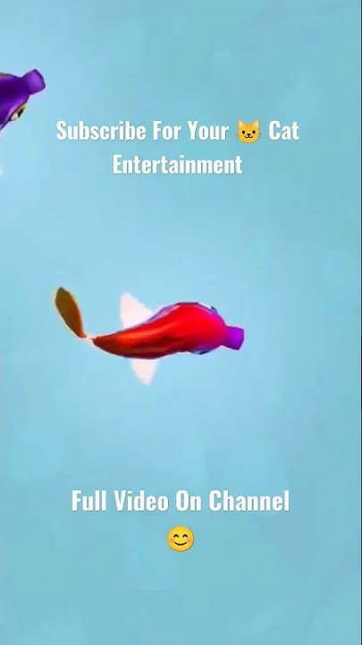 CAT GAMES Fish Game CATS TV Fish Game GAMES FOR CATS Video cat-games-fish-game-cats-tv-fish-game-games-for-cats-video