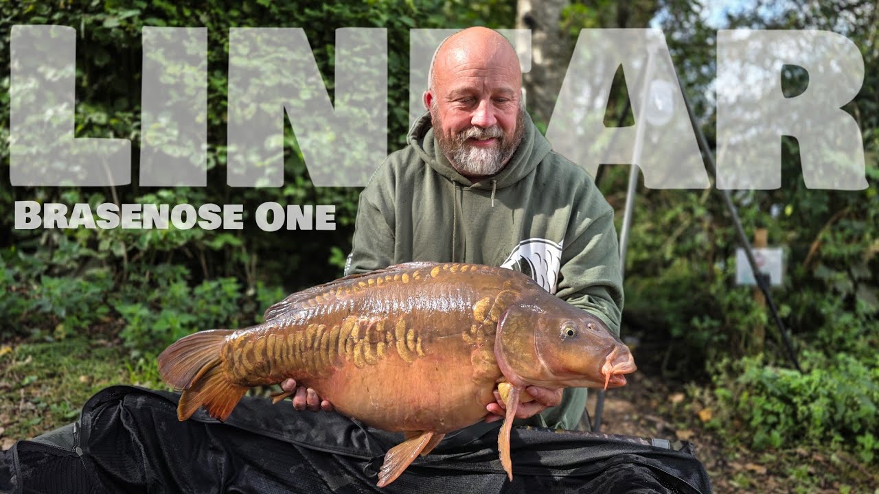 ЛИНЕЙНЫЙ Б1 - Ловля карпа 2025