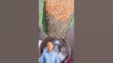 From Grain to Perfect Pellets: The Flat Die Feed Pellet Machine Advantage #fcnfm #pelletmachine