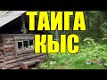 КЫС  | ТАЁЖНЫЕ РАССКАЗЫ