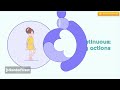 Past Tense Past Continuous Tense