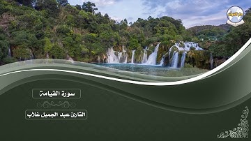 سورة القيامة || القارئ عبد الجميل غلاب