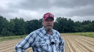 Watermelon and Exciting Jimmy Red Corn News !!