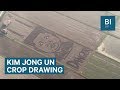 How an enormous Kim Jong Un crop circle appeared in Italy