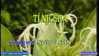 [VCD-888K] 17776 | Tình Cha (Ngọc Sơn)
