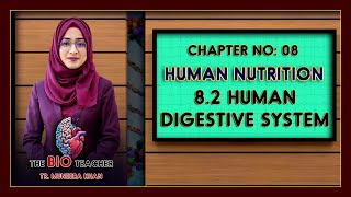 Full 8.Human Nutrition | 8.2 Human Digestive System | Biology 5090 | O Levels #biology #humanbody Guide