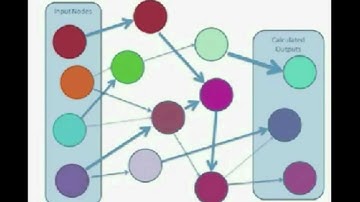 Chapter 11 Neural Network DATA MINING