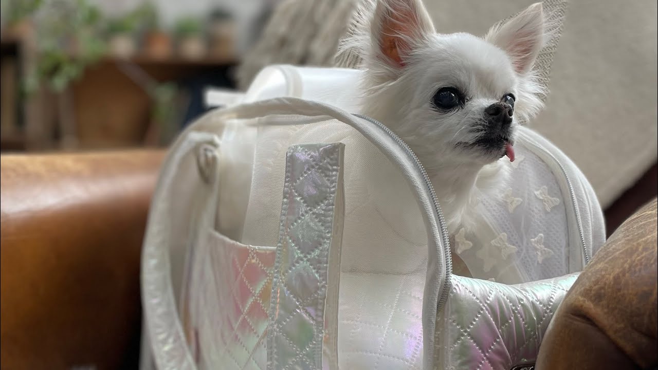 AJIBAG CUBE SEETHROUGH [WHITE BEAM]展開式 AJIBAG CUBE SEETHROUGH [PINK BEAM]展開式 - BABIANA JAPAN