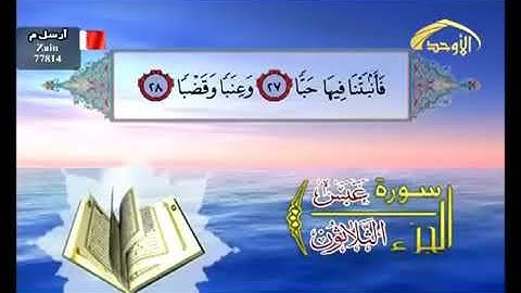 سورة عبس القارئ عامر الكاظمي