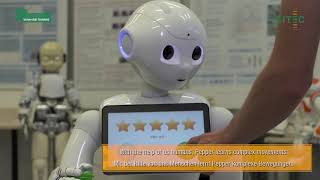 Pepper — Human-Robot-Interaction