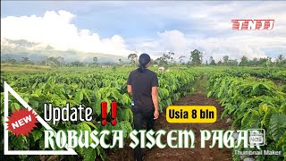 UPDATE TERBARU ‼️ ROBUSTA SISTEM PAGAR USIA 8 BULAN