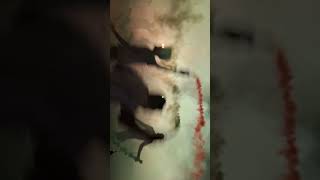 Light Party Smansa #lightparty#sma#putihabuabu #smansa#lulus#kelas12#agit#fyp #tranding#kenangansma