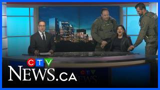 Regina weather anchor ‘arrested’ as part of Jail n’ Bail fundraiser