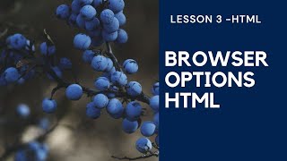 Browser Options | HTML | Lesson 3 | CODEBERRY