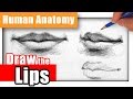 How to draw the lips the easy way  different angles