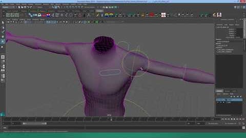 Spherical Pose Reader 2.5 : BLOG